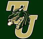 Tiffin University logo